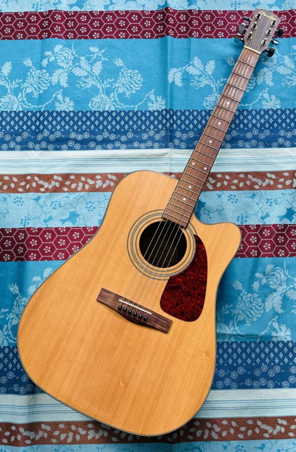 Guitare électro-acoustique Fender DG-14 SCE TF n°CC02109790, cordes et chevilles neuves