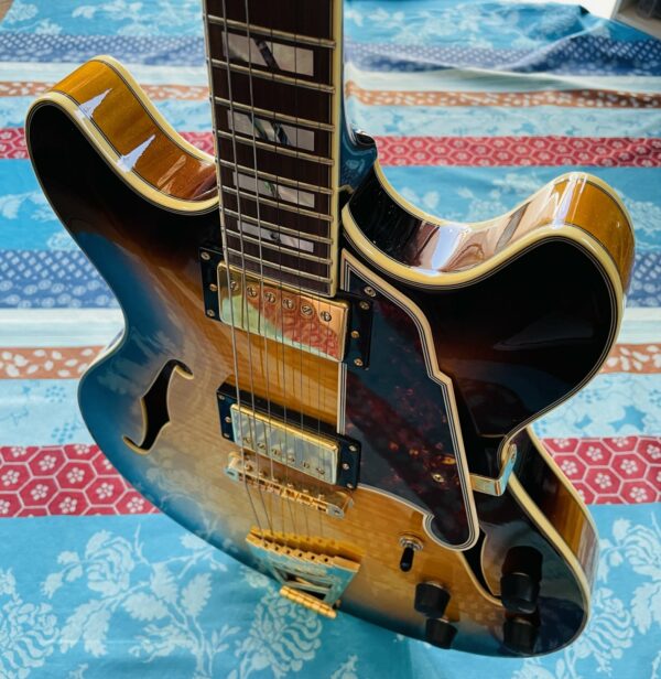 Guitare hollow body D’Angelico Excel EX DCTP vintage sunburst n°W801666 (Korea), étui D’Angelico, sangle Shiver avec Straplocks – Image 11