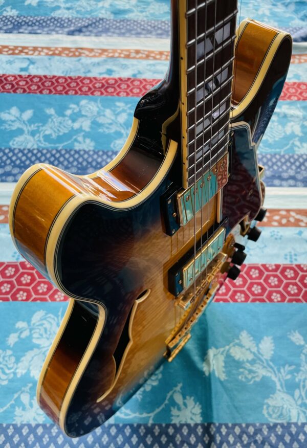 Guitare hollow body D’Angelico Excel EX DCTP vintage sunburst n°W801666 (Korea), étui D’Angelico, sangle Shiver avec Straplocks – Image 12