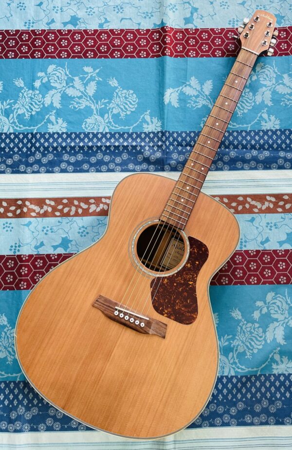Guitare acoustique Walden G730 Natural n°059717, cordes neuves Martin