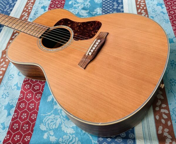 Guitare acoustique Walden G730 Natural n°059717, cordes neuves Martin – Image 2