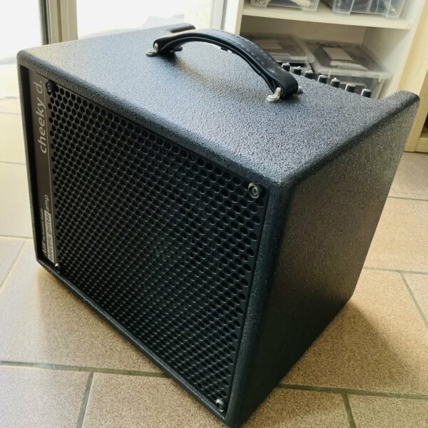 Amplificateur guitare électrique transistor-lampe AER Cheeky D.10 n°D9200049, housse AER, révision électronique Smoke Stack 06.08.25