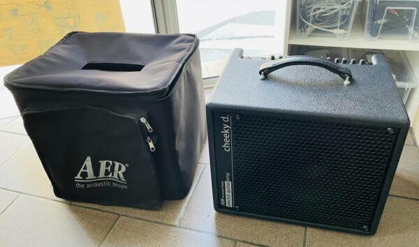 Amplificateur guitare électrique transistor-lampe AER Cheeky D.10 n°D9200049, housse AER, révision électronique Smoke Stack 06.08.25 – Image 5