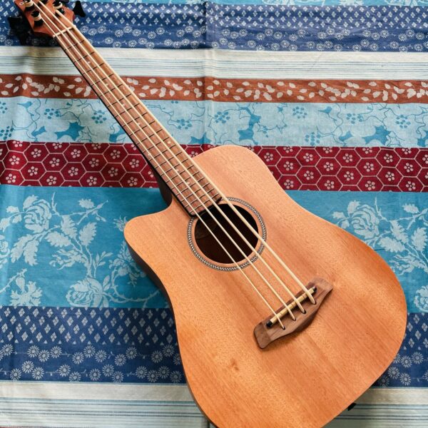 Basse de voyage gaucher électro-acoustique Goldtone micro bass n°20050207, housse Goldtone