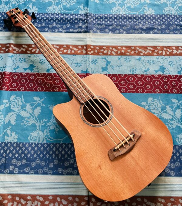 Basse de voyage gaucher électro-acoustique Goldtone micro bass n°20050207, housse Goldtone