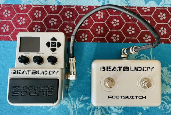 Pédale d’accompagnements rythmiques Singular Sound BeatBuddy n°BB0017785, footswitch, câble, boites, carte SD 4GB