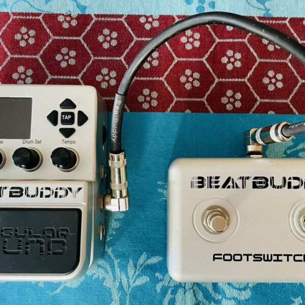 Pédale d’accompagnements rythmiques Singular Sound BeatBuddy n°BB0017785, footswitch, câble, boites, carte SD 4GB