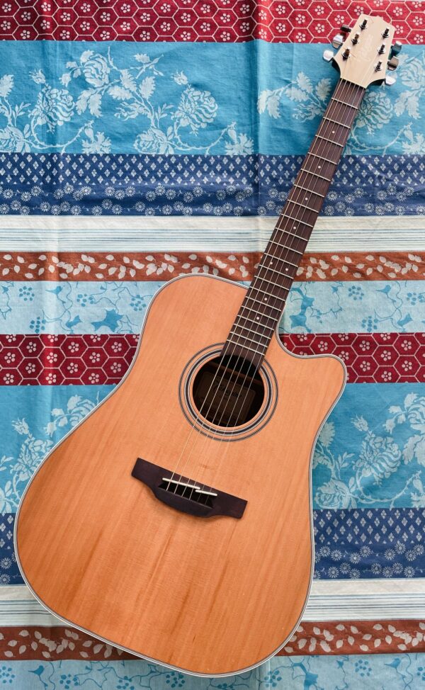 Guitare électro-acoustique Takamine GD20 CE Natural Satin n°CC210824209
