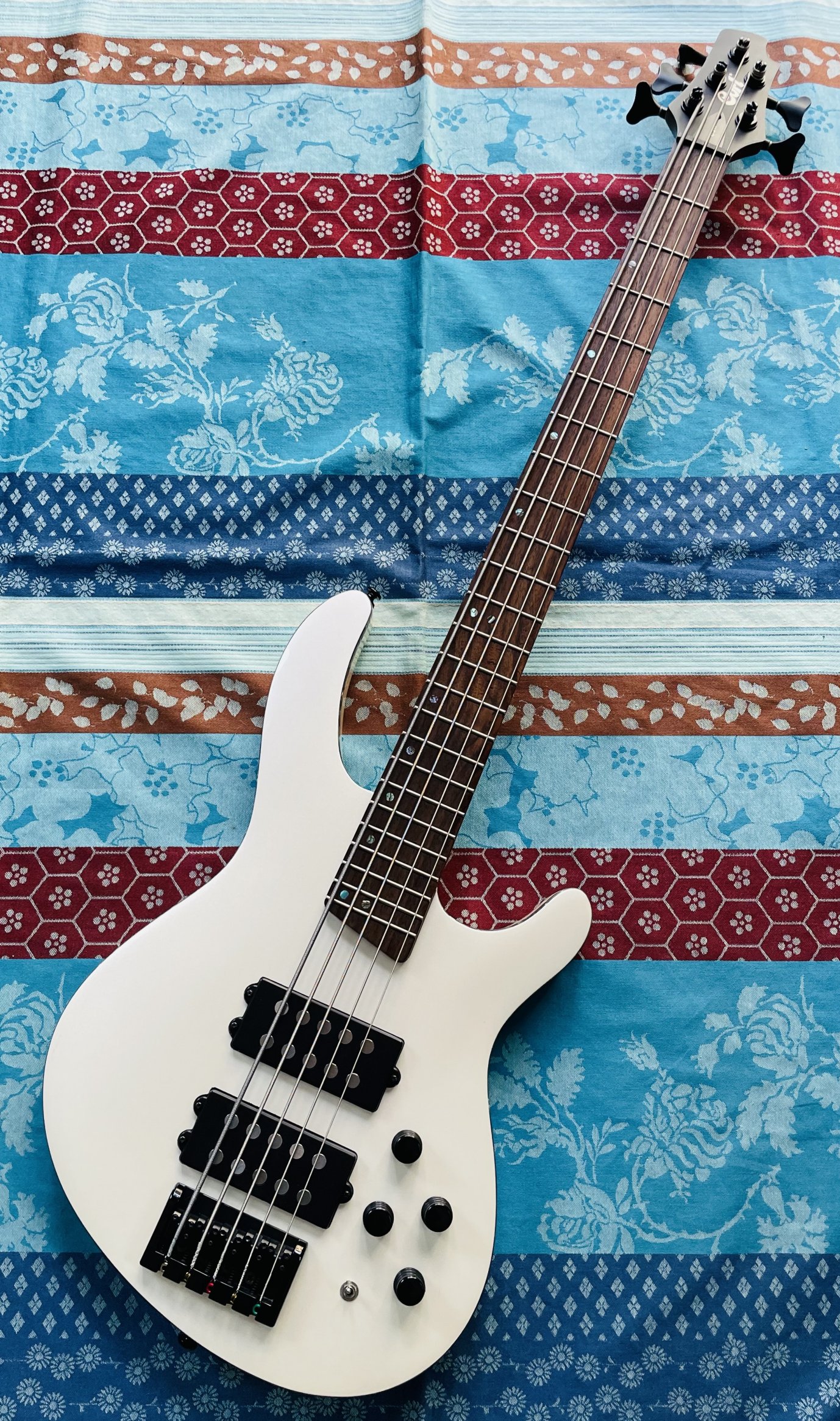 Basse électrique active 5 cordes Cort C5H White Pearl n°130803341 (Indonésia)