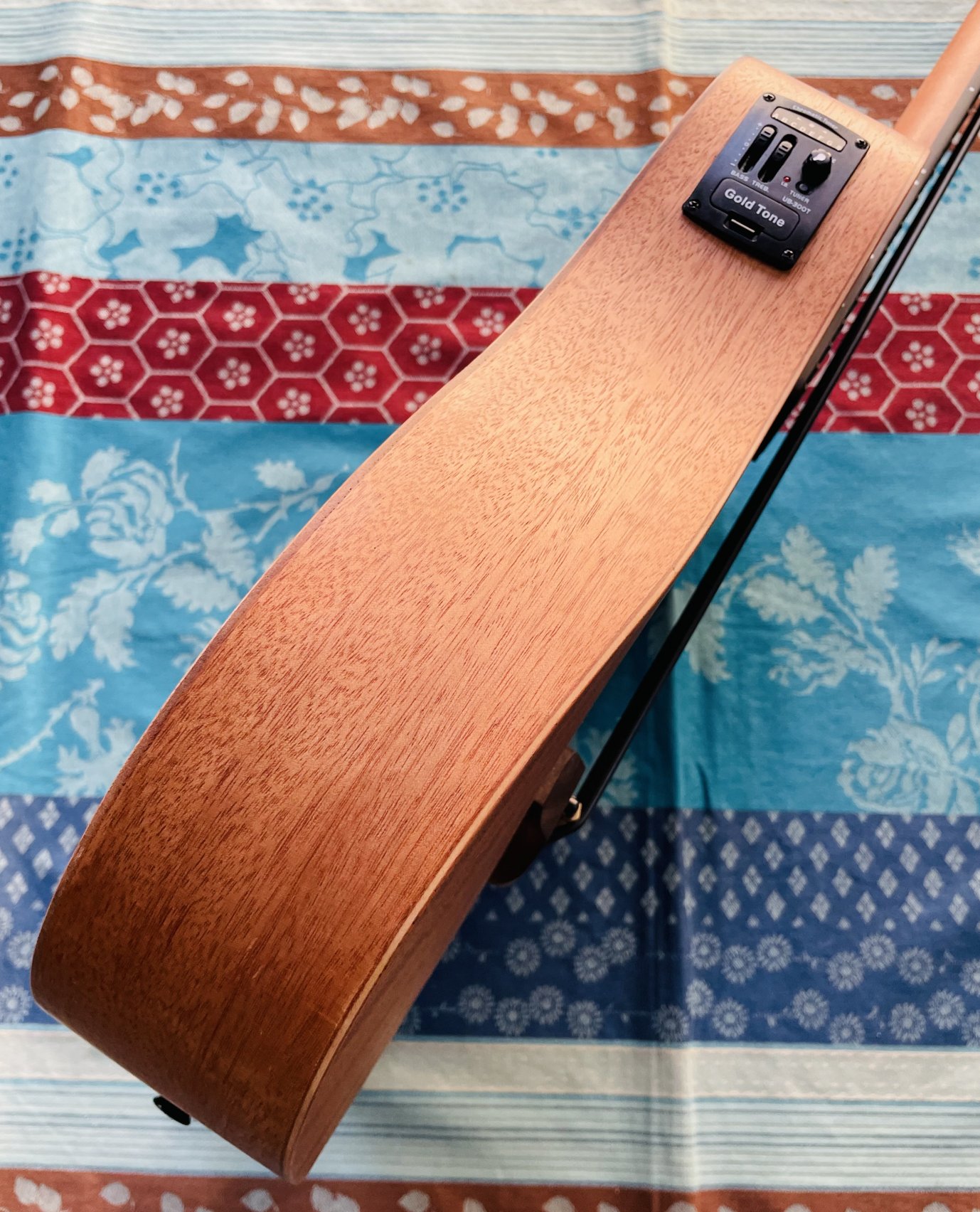 Basse électro-acoustique Goldtone droitier M-Bass, housse d'origine, sangle – Image 2