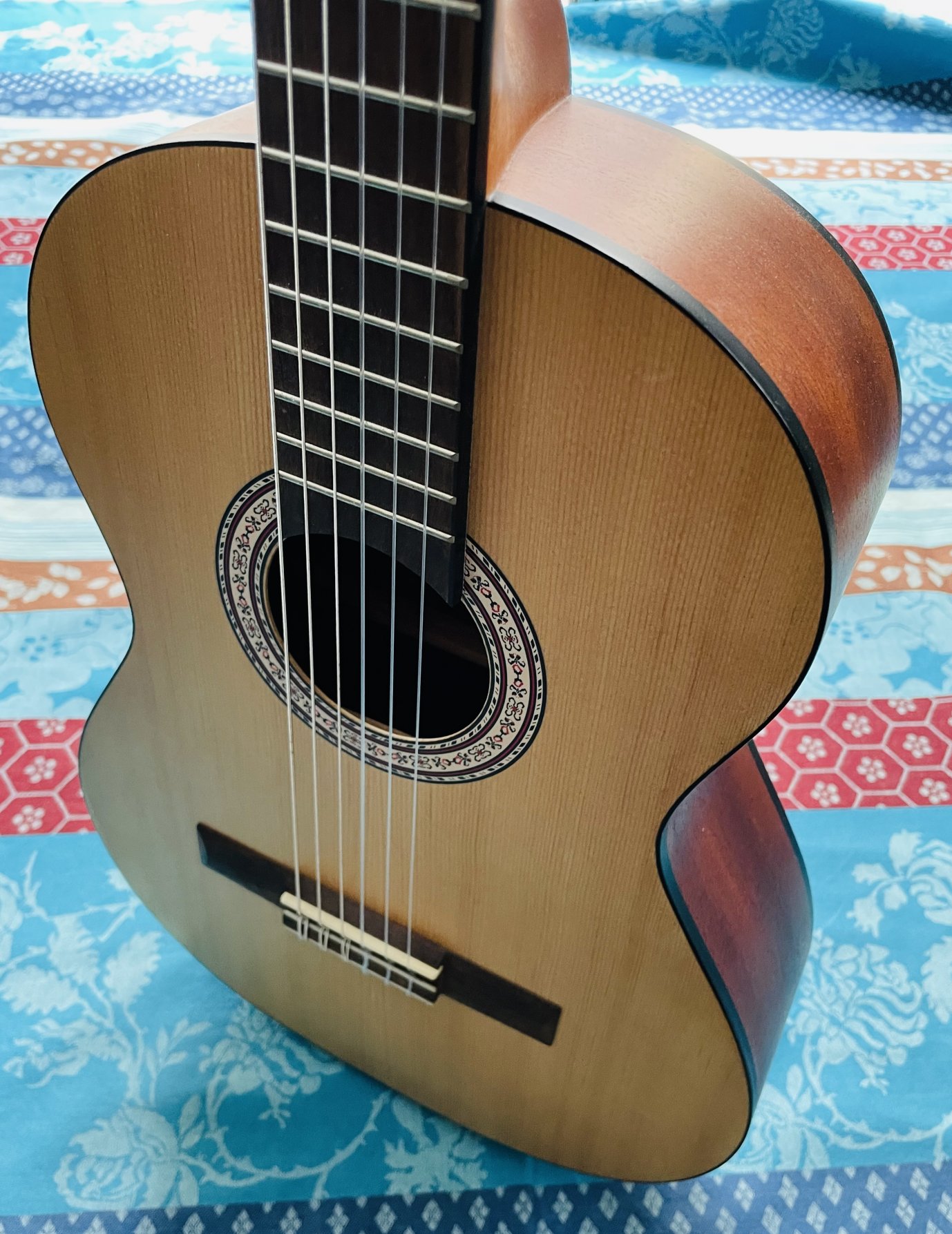 Guitare classique taille un demi Prodipe Primera, carton – Image 8