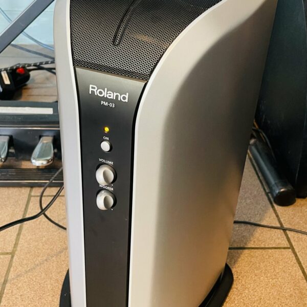 Enceinte Roland PM-03 2.1 n°DSP1987, alim, câble jack, 30W