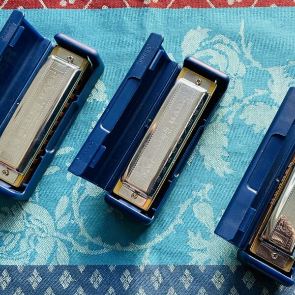 3 Harmonicas Hohner Blues Harp C, G et E, étuis d’origine