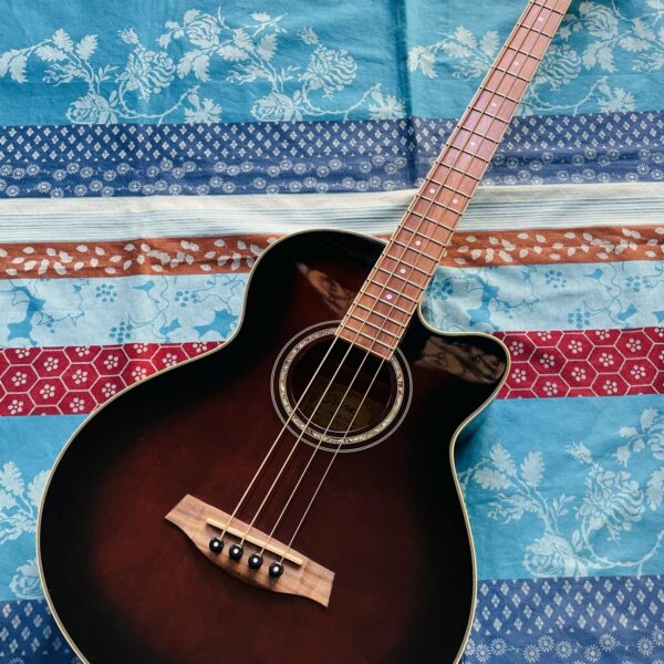 Basse électro-acoustique Ibanez AEB-10 DVS 27.01 n°J090801178, housse Tobago