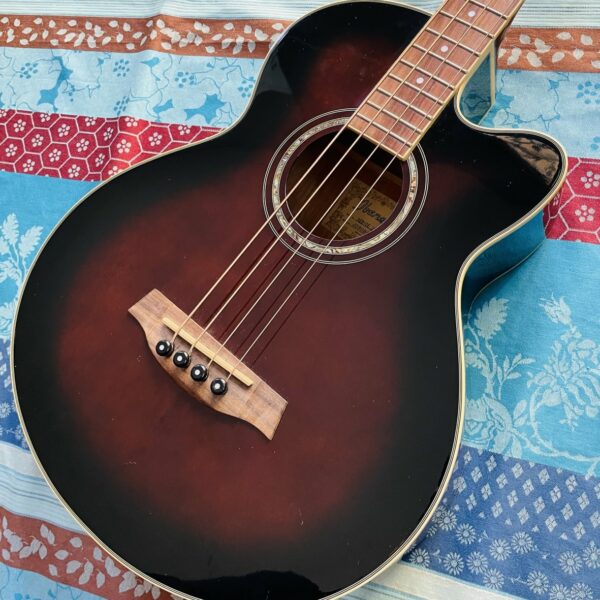 Alternative view of Basse électro-acoustique Ibanez AEB-10 DVS 27.01 n°J090801178, housse Tobago