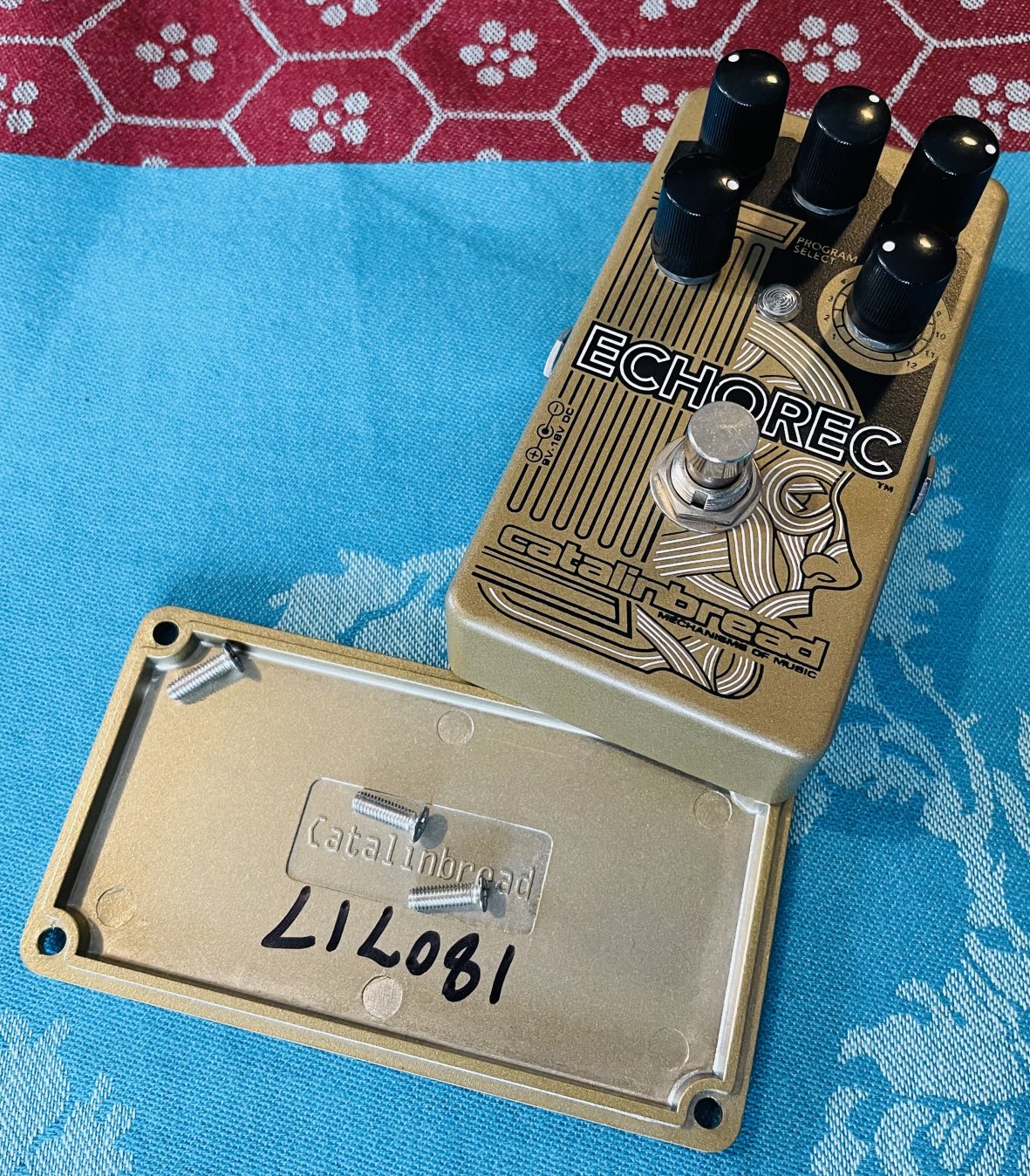 Pédale écho Catalinbread Echorec n°LIL081 (USA), alim 9V Ispot – Image 5