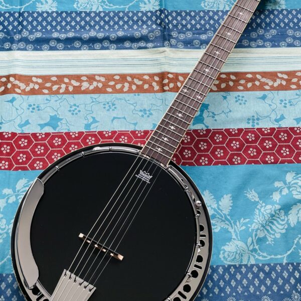 Banjo 6 cordes Epiphone Stagebird n°1605120030, étui 940-EH60, sangle, capo G7th, 2 jeux de cordes (d’Addario – Deering), accordeur