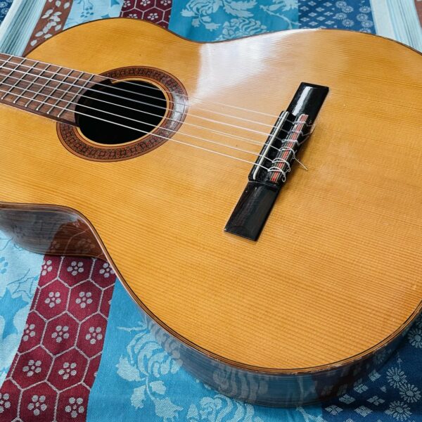 Alternative view of Guitare classique Brésilienne Giannini AWN71 (1976, Brésil), cordes neuves