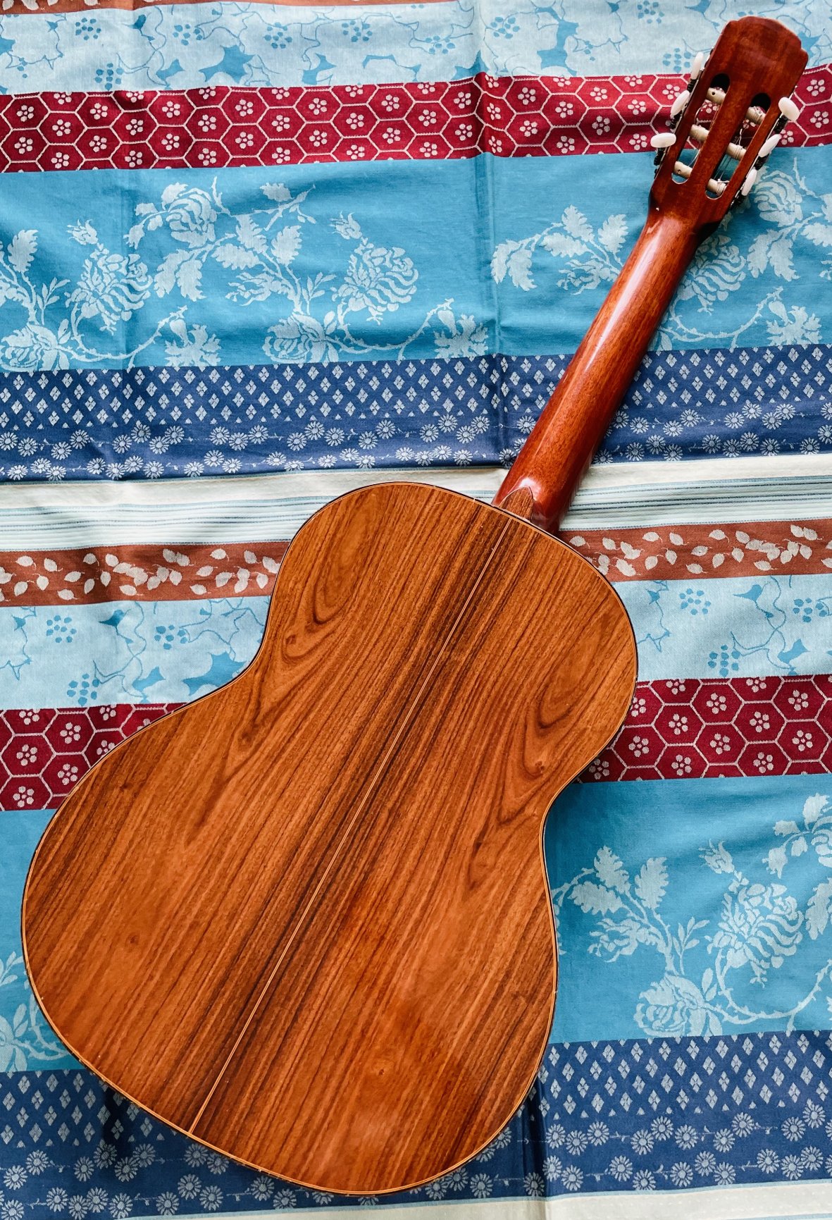 Guitare classique Brésilienne Giannini AWN71 (1976, Brésil), cordes neuves – Image 5