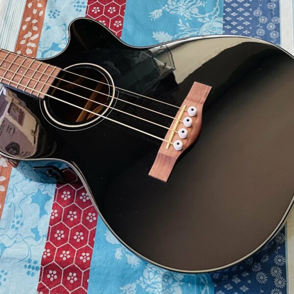 Alternative view of Basse électro-acoustique Fender CB-60 SCE BLACK WN n°IWA2300935, belle housse Ritter RCG700