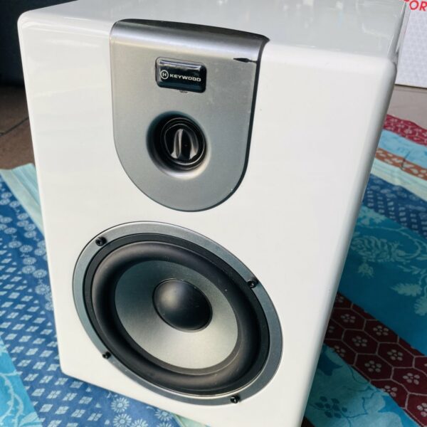 Alternative view of Enceinte monitoring Keywood Evo 6 white n°V12L0001297