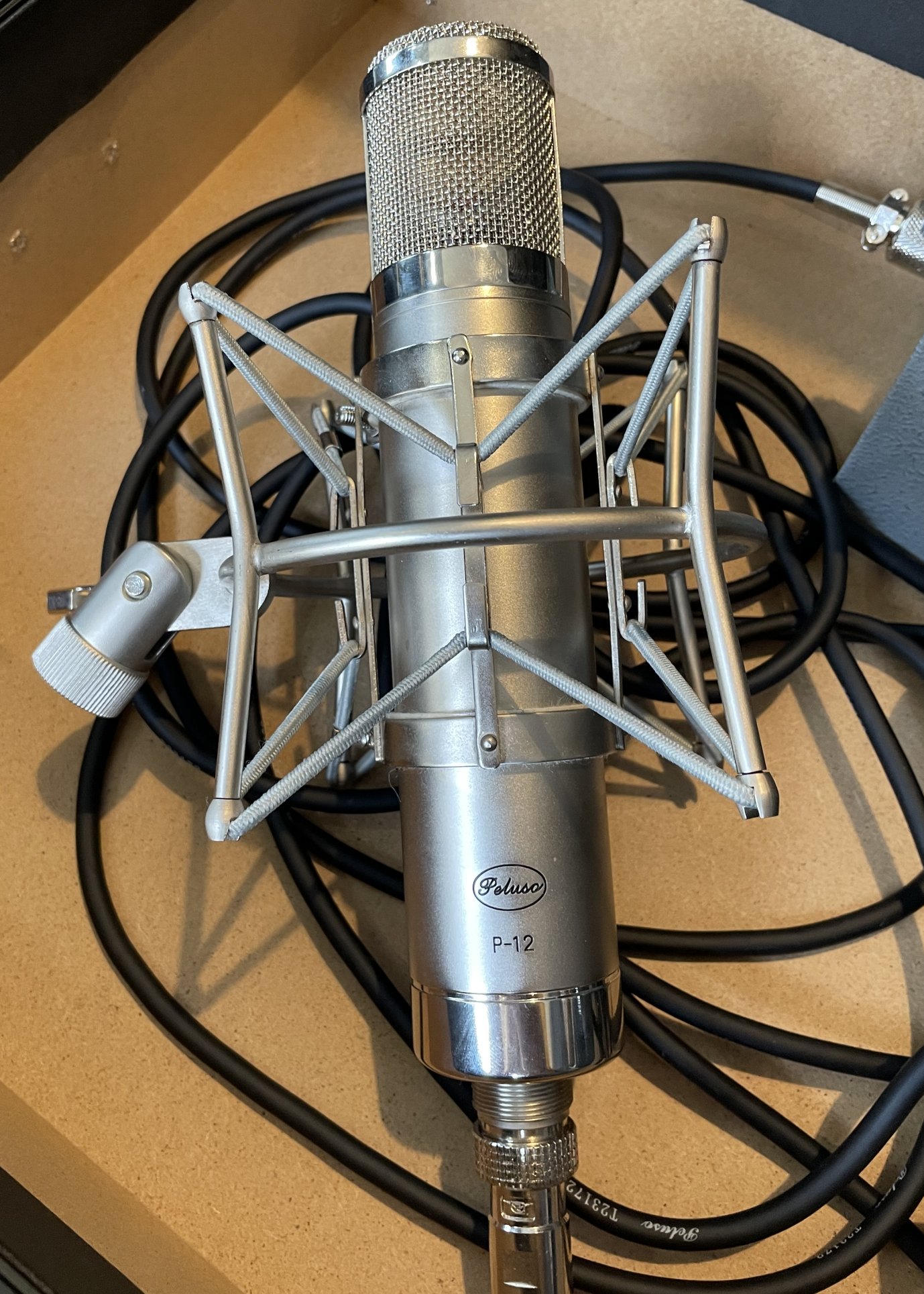 Micro Peluso P12 n°1625 - 1150 € (actuellement en test au Studio Pessac Hesat Recording)