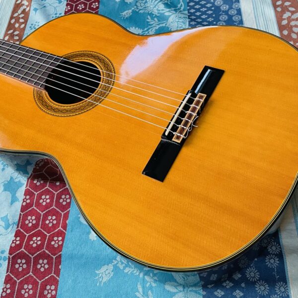 Alternative view of Guitare électro-classique Takamine EC-128 n°92092006 (1992, Japan), housse Rockbag