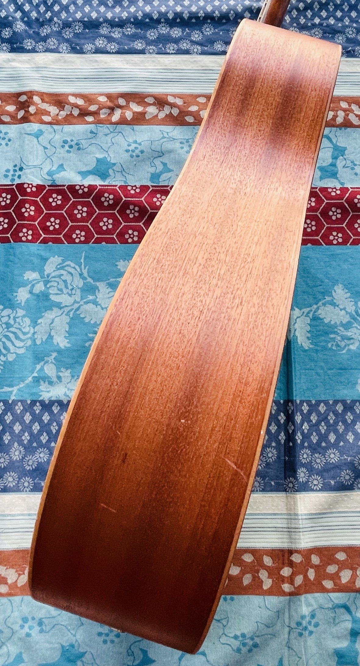 Guitare acoustique Taylor Big Baby BBT n°2101256259 (Mexico), housse d’origine Taylor, réglée luthier Manteau (10.04.26) – Image 6