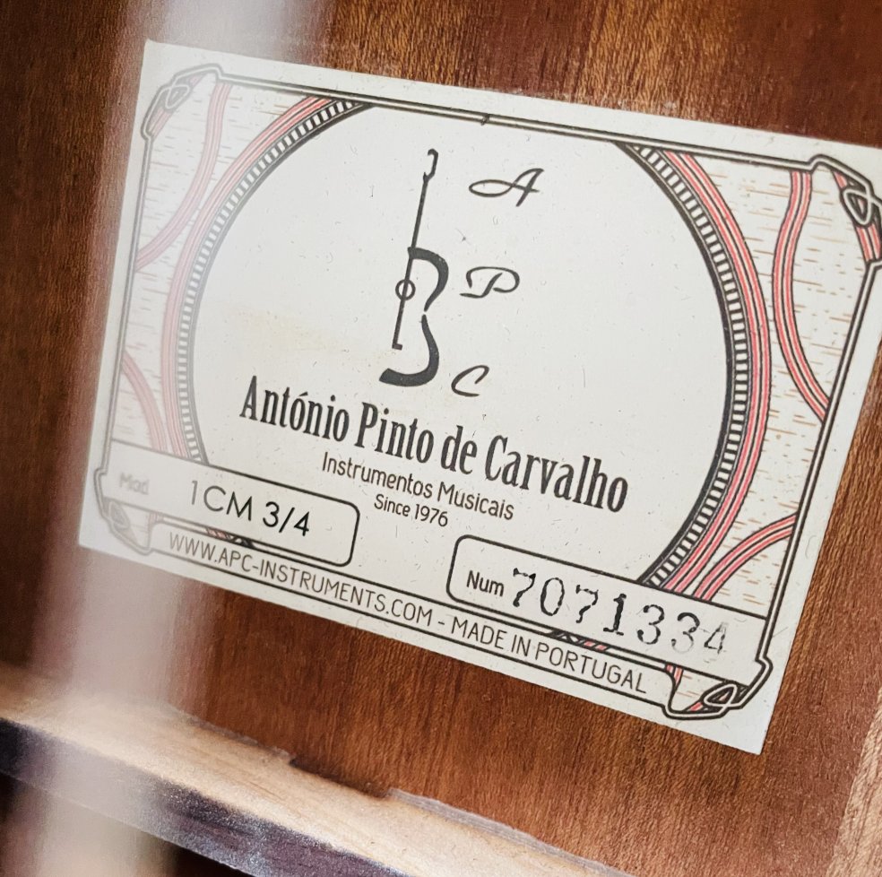 Guitare classique trois quart Antonio Pinto de Carvalho 1 CM n°7071334, housse Tobago – Image 4