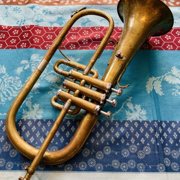 Alternative view of Buggle révisé Dolnet Sib n°68731, étui Antoine Courtois, embouchure Faxx 3C-FL
