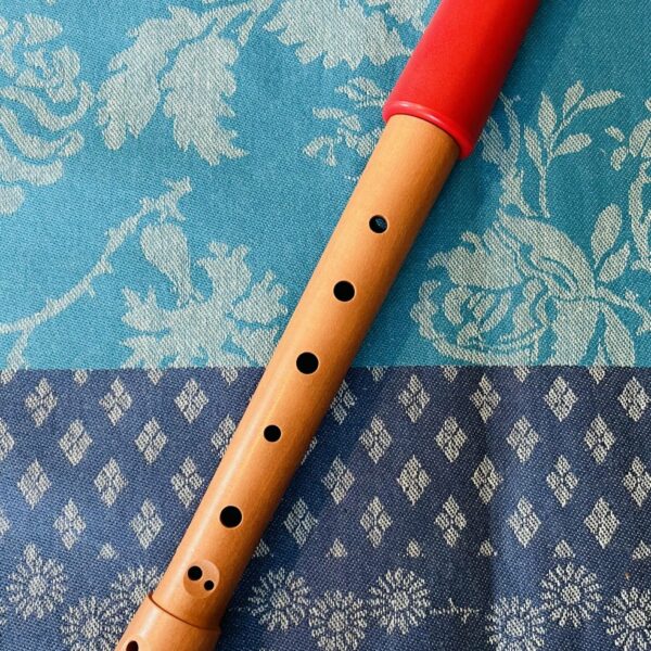 Flûte à bec Mollenhauer Flipple Soprano C, Housse d’origine
