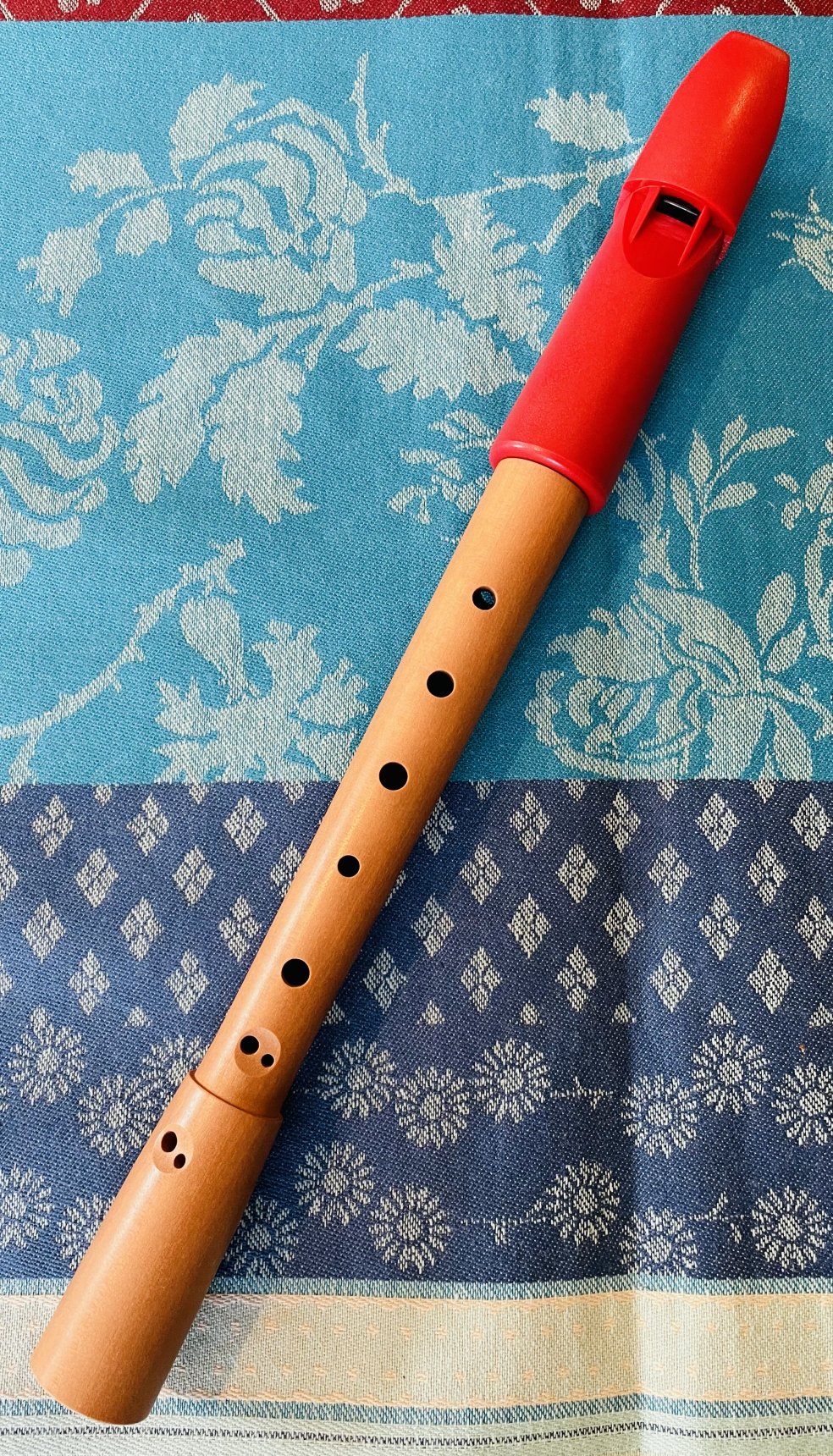 Flûte à bec Mollenhauer Flipple Soprano C, Housse d’origine