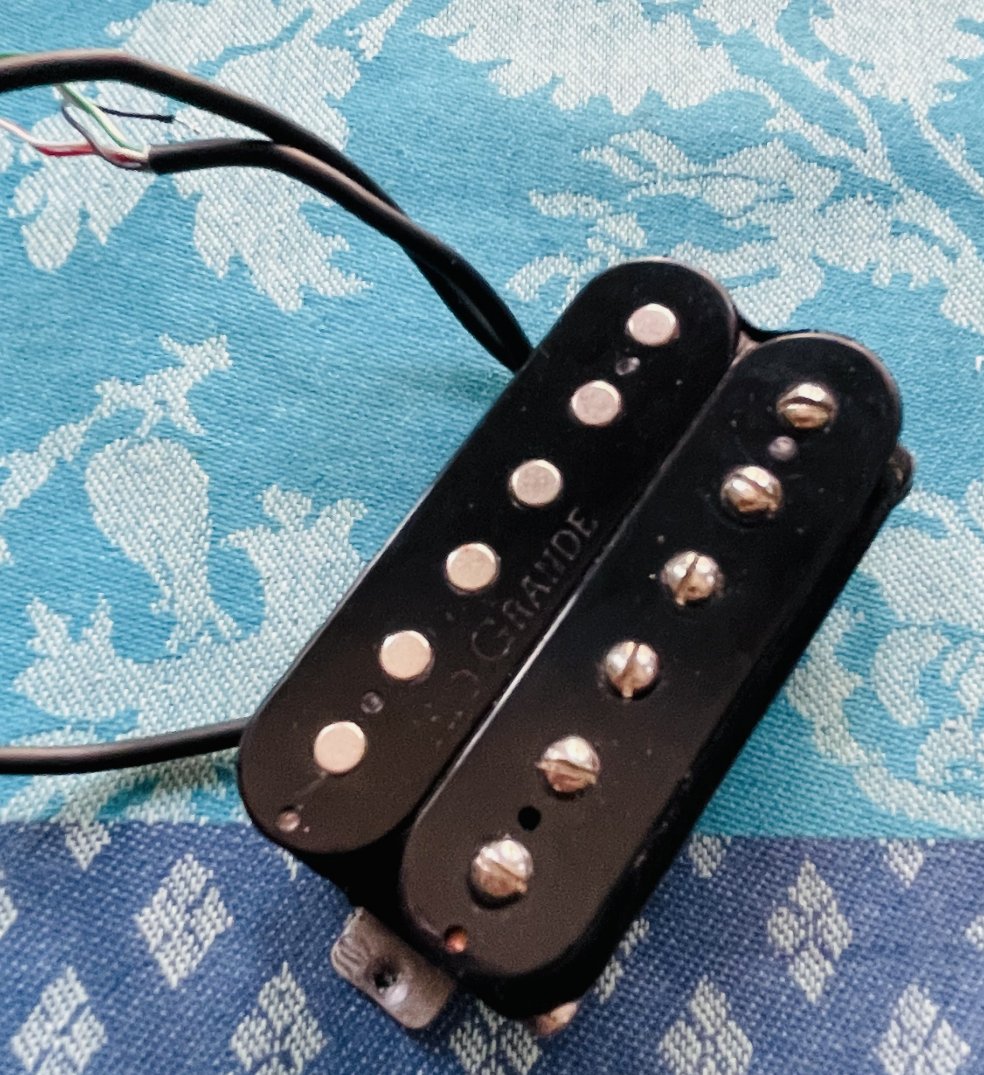 Micro pour guitare électrique Rio Grande BBQ 2013, 2 visses