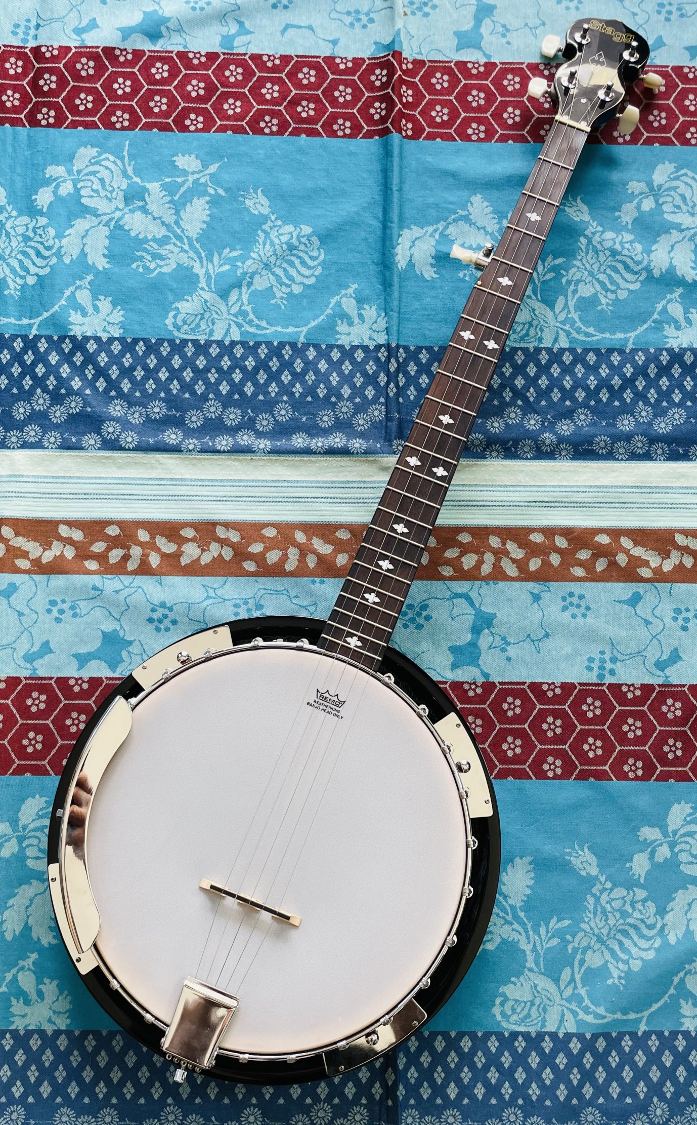 Banjo 5 cordes Stagg BJW24 western banjo, étui rigide