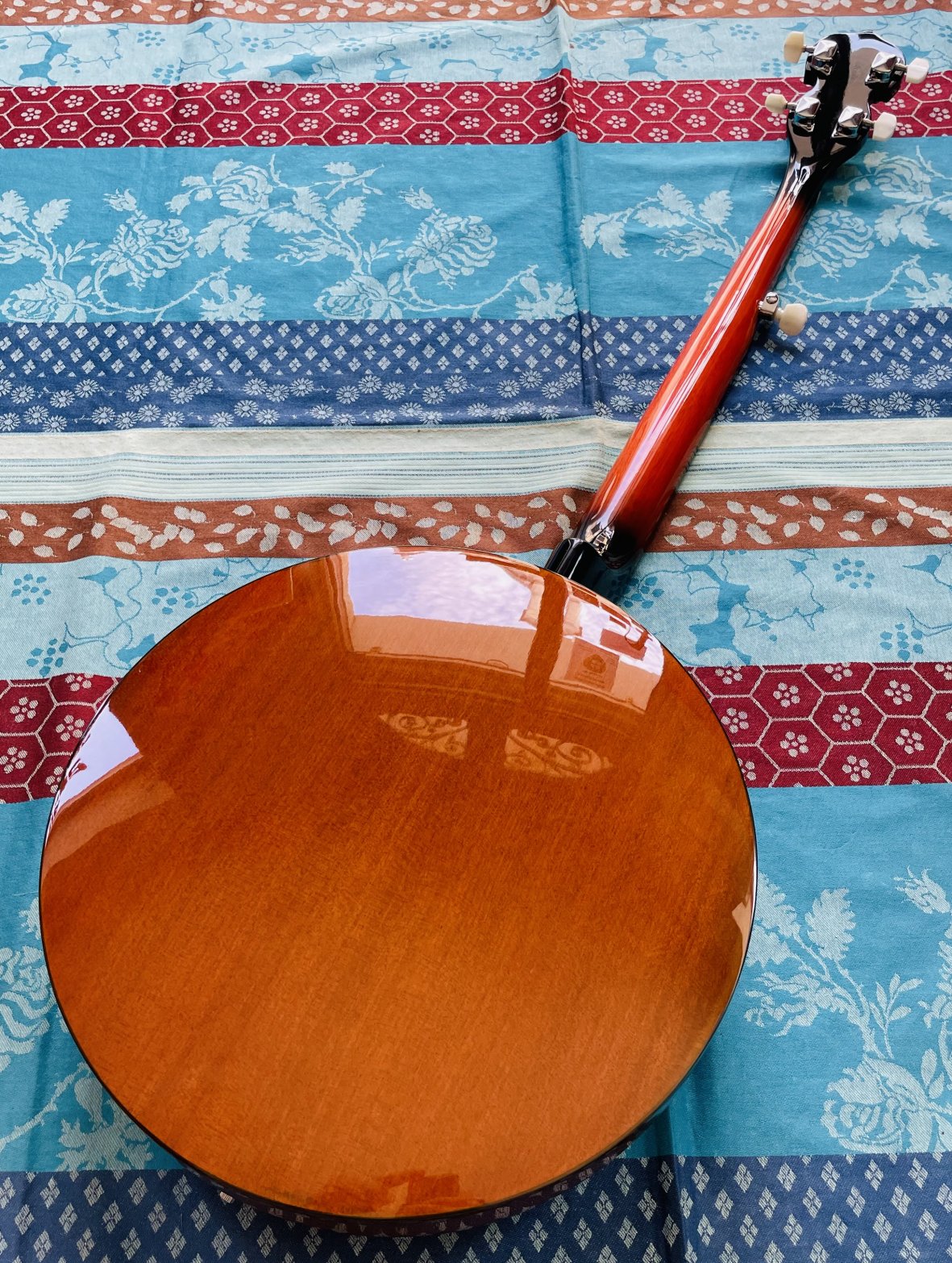 Banjo 5 cordes Stagg BJW24 western banjo, étui rigide – Image 4