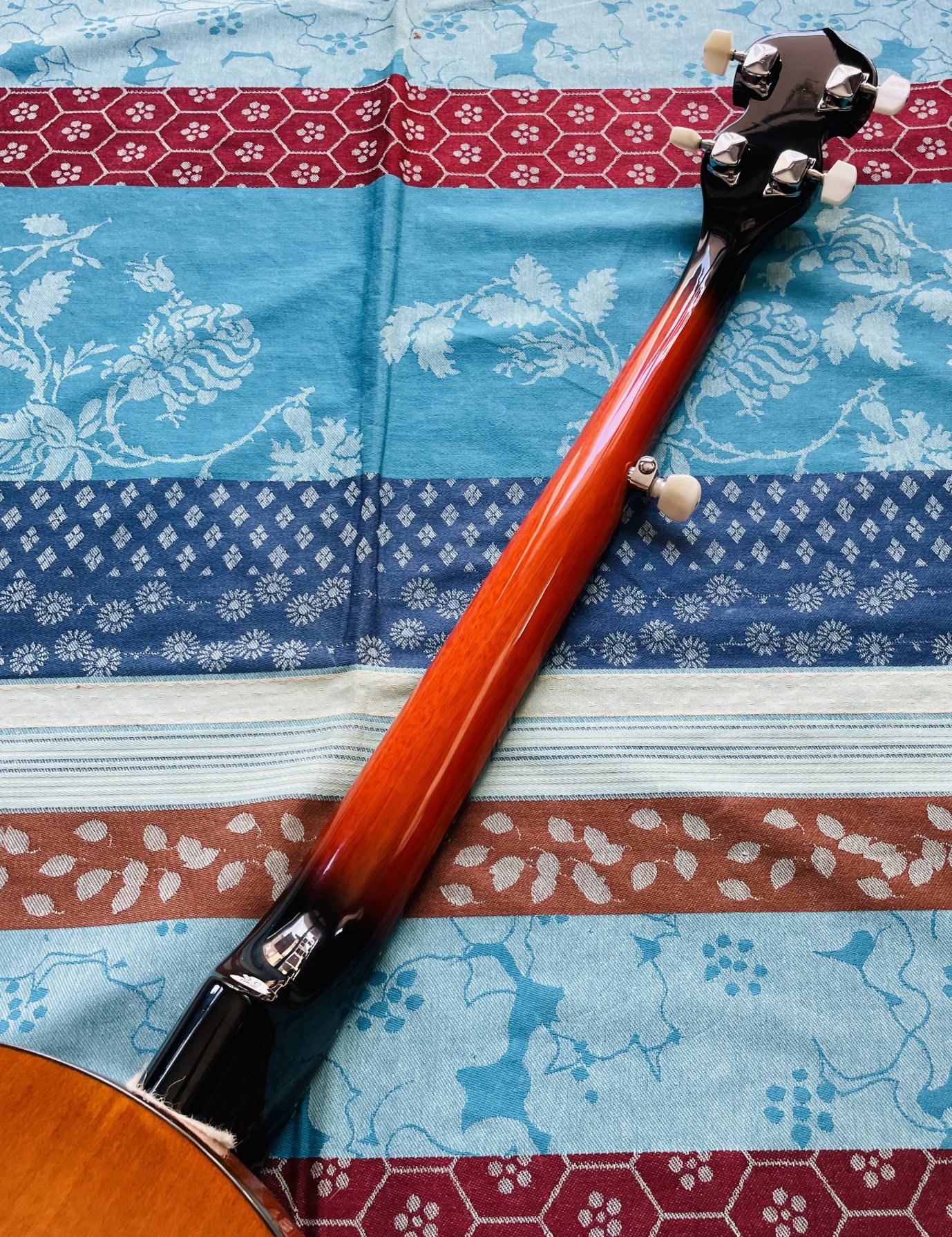 Banjo 5 cordes Stagg BJW24 western banjo, étui rigide – Image 6