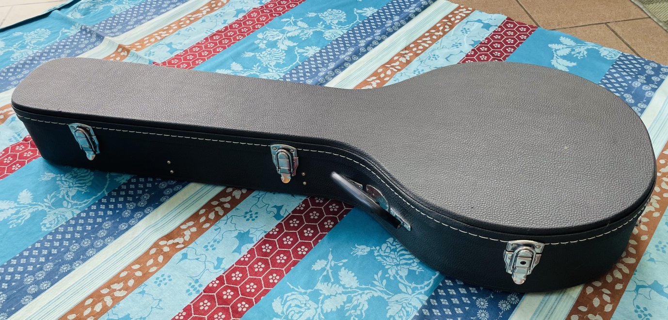 Banjo 5 cordes Stagg BJW24 western banjo, étui rigide – Image 11