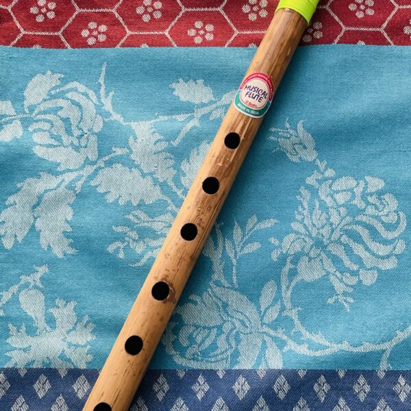 Flûte Indienne Bansuri D