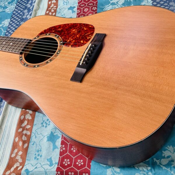 Alternative view of Guitare acoustique Eastman E2D n°M2213500, housse Eastman, certificat, révision luthier Manteau (01.07.26)