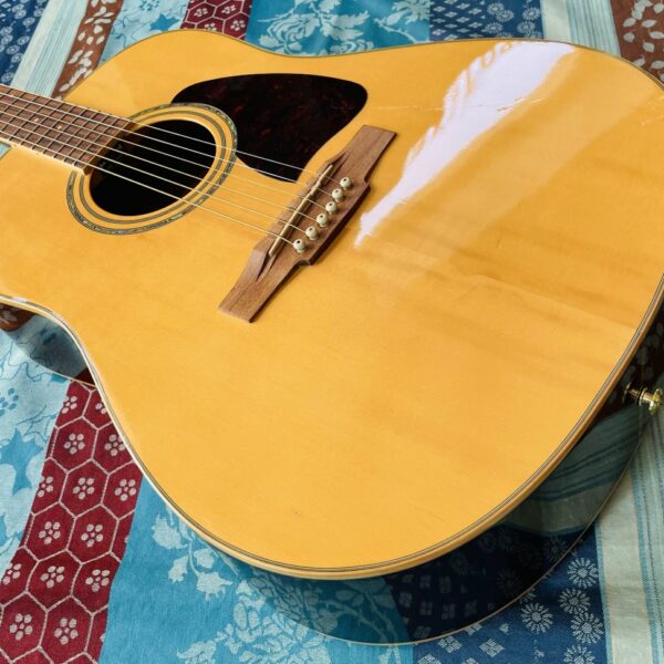 Alternative view of Guitare acoustique Ibanez AW30 NT-2Y-02 n°GS09E072855, housse Rok Sok, réglée luthier Manteau (facture 09.07.26)