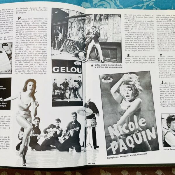 Alternative view of Livre Les Années 60, Vinyl Fraise, François Juffa – Michel Lafon