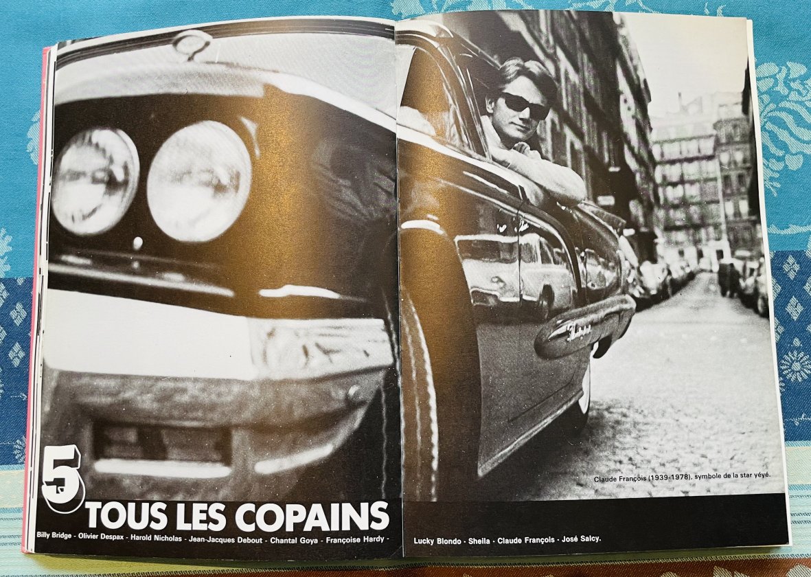 Livre Les Années 60, Vinyl Fraise, François Juffa – Michel Lafon – Image 5