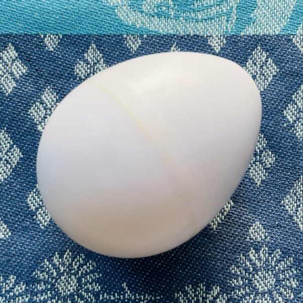 Oeuf shaker blanc