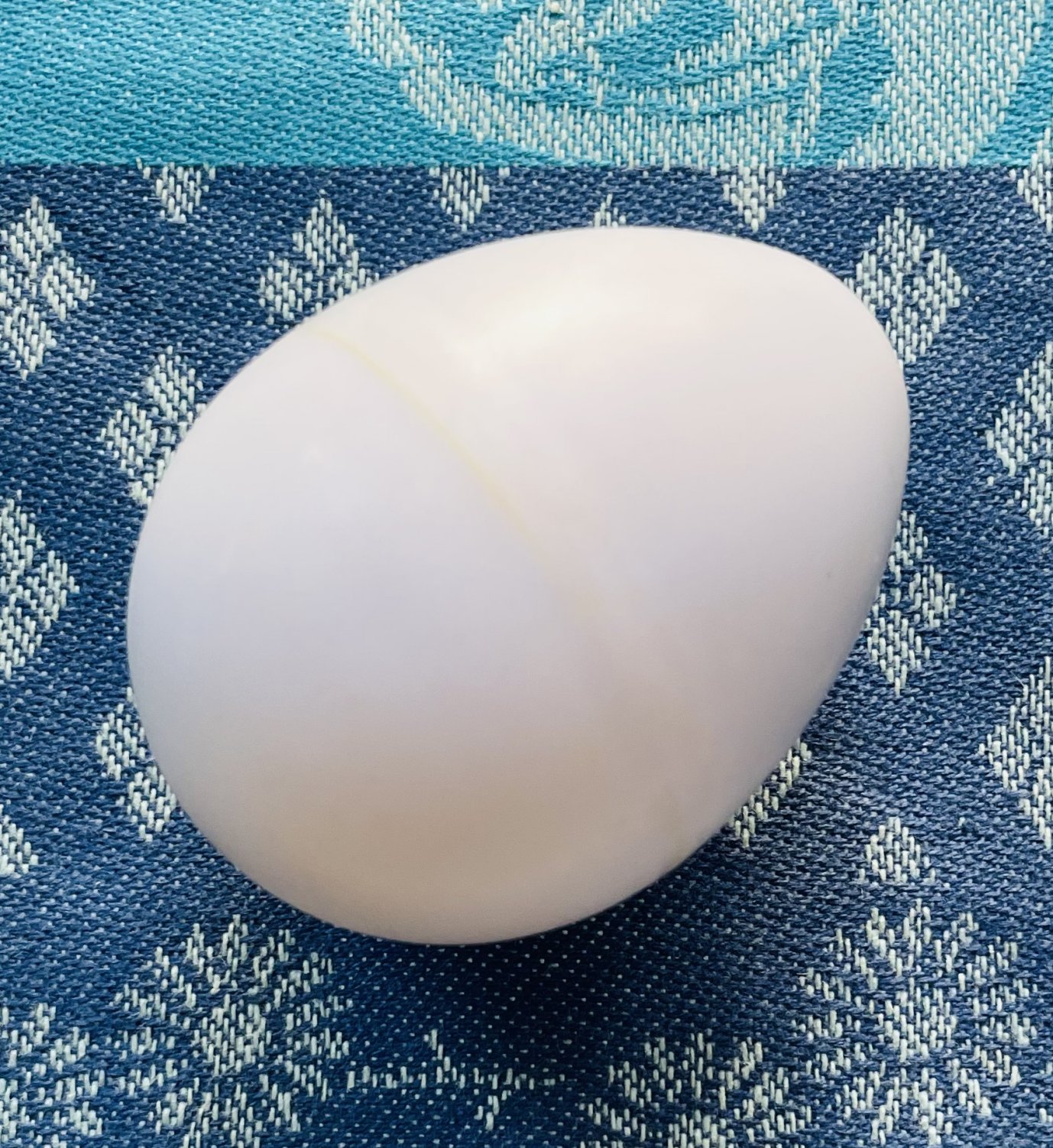 Oeuf shaker blanc