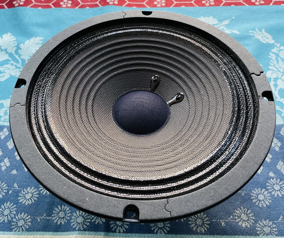 Haut-parleur Blackstar 15 8’’, 15W, 8 ohms – Image 3
