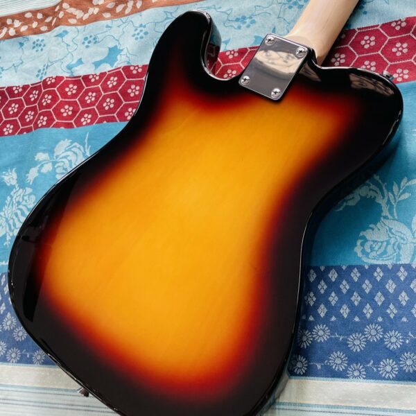 Guitare électrique Eastone TL70 Telecaster 3 tone, housse X-Tone Softbag – Image 7