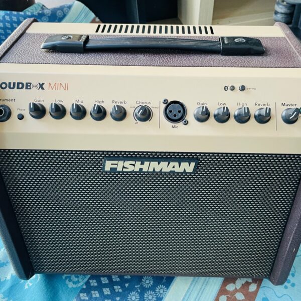 Ampli acoustique Fishman Loudbox Mini bluetooth n°LBTEUSA101405, alim, 60W
