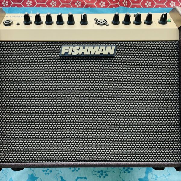 Alternative view of Ampli acoustique Fishman Loudbox Mini bluetooth n°LBTEUSA101405, alim, 60W