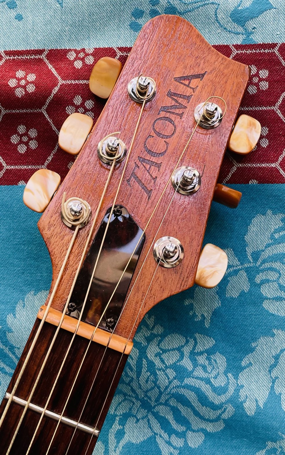 Guitare électro-acoustique Tacoma Roadking DM8C n°C3405030 (USA) – Image 5