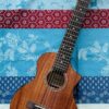 Ukulélé électro-acoustique ténor Ibanez EWP12EWB-OPN Natural n°2Y03GS250104233, housse